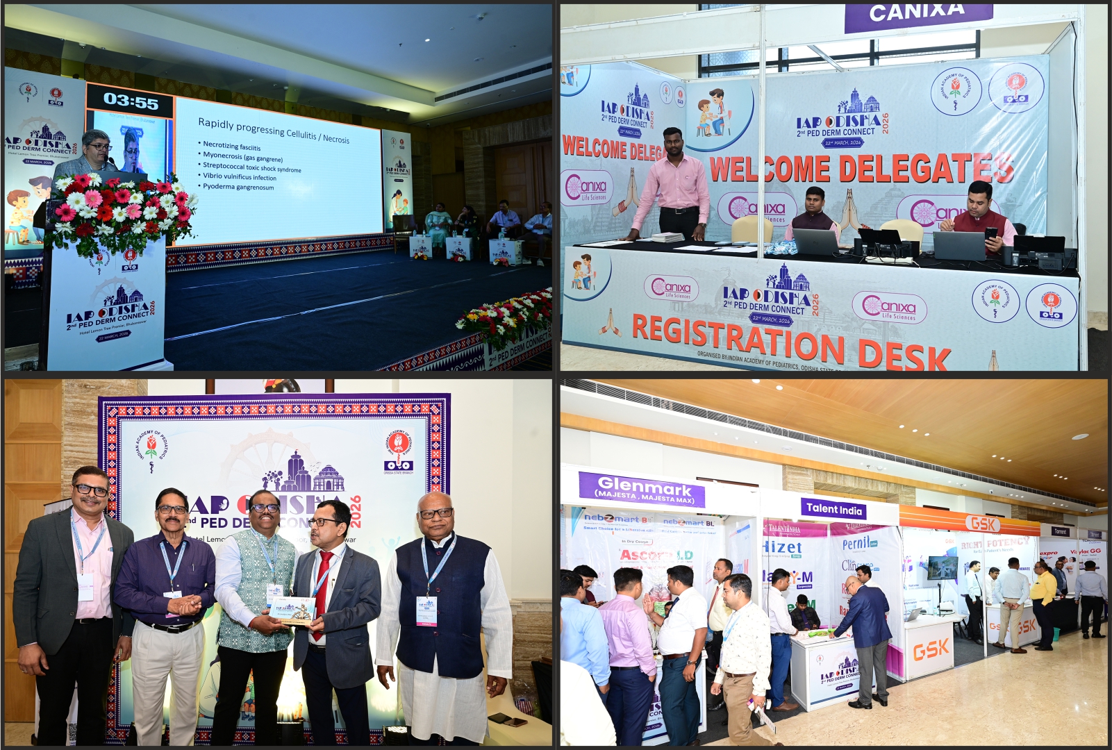 Image 8